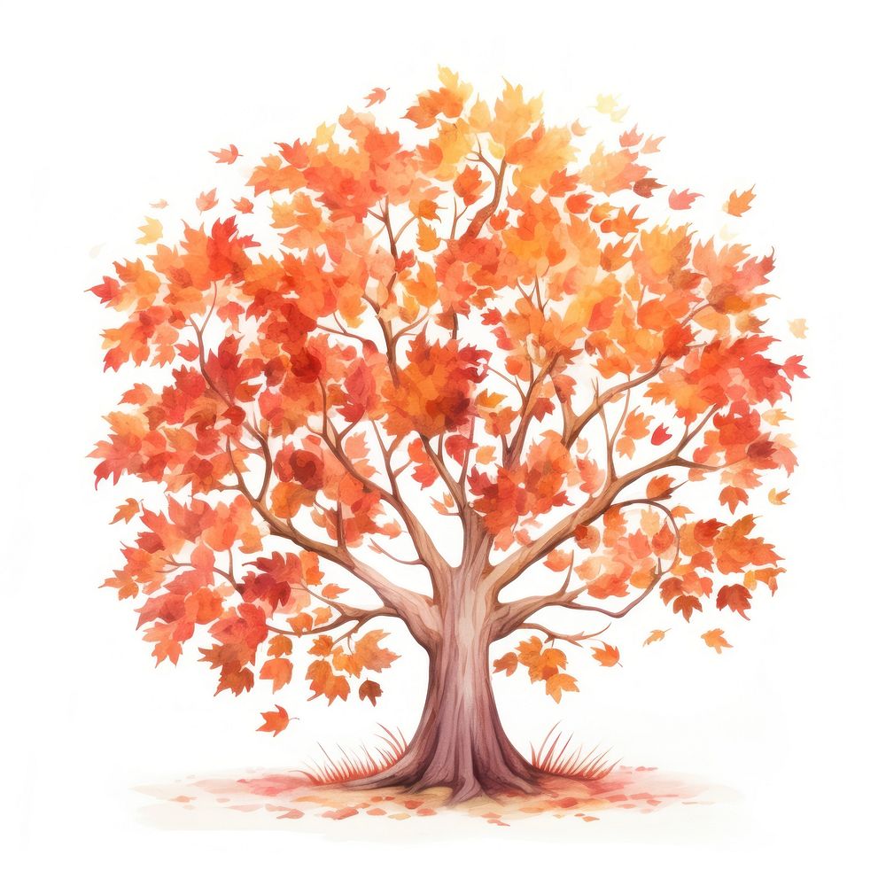 Autumn tree drawing plant maple. AI generated Image by rawpixel.