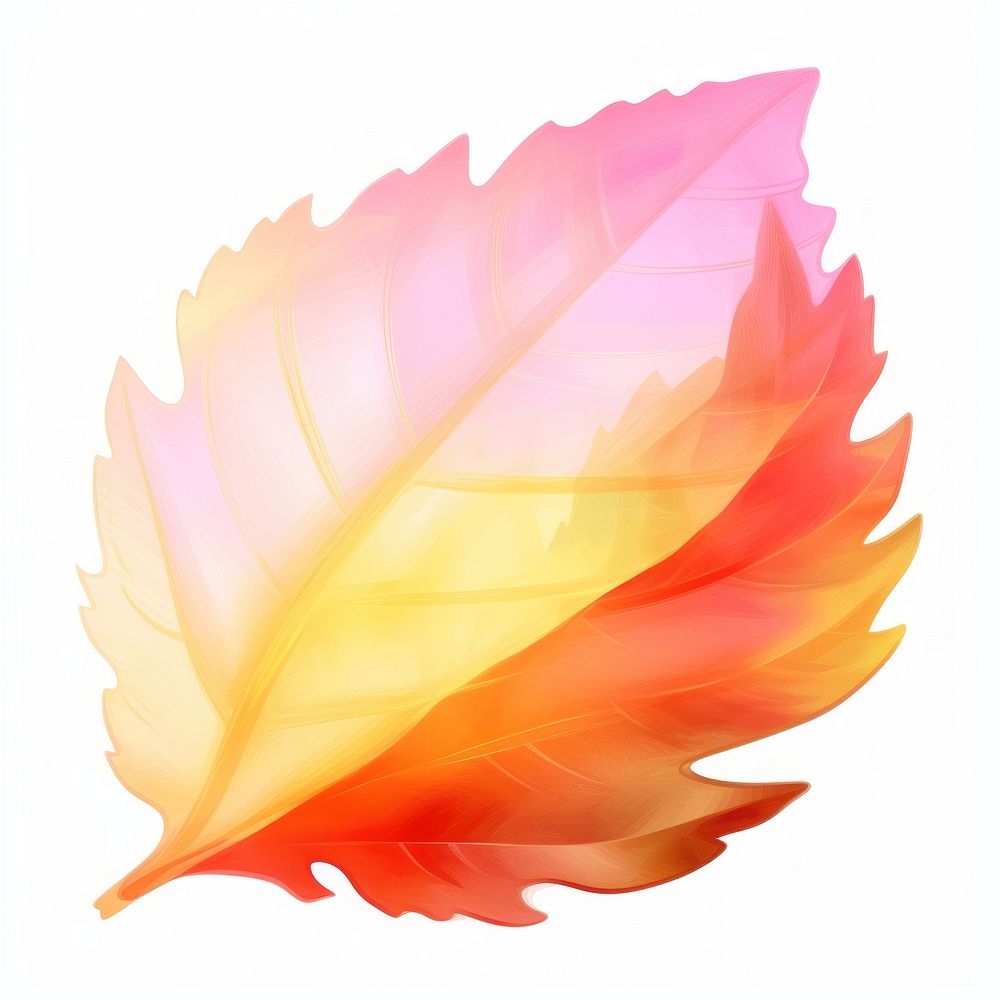 Leaf plant petal white background. AI generated Image by rawpixel.