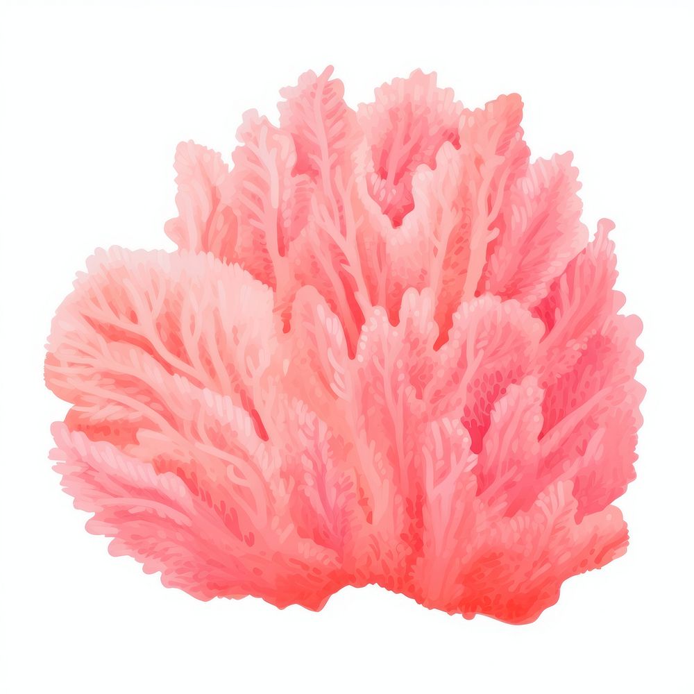 Coral plant white background underwater. AI generated Image by rawpixel.