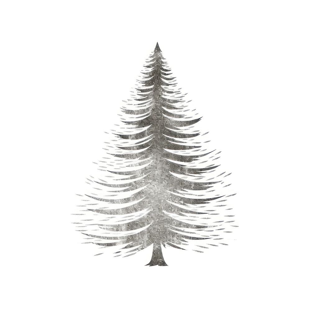 Pine tree icon christmas drawing sketch. AI generated Image by rawpixel.