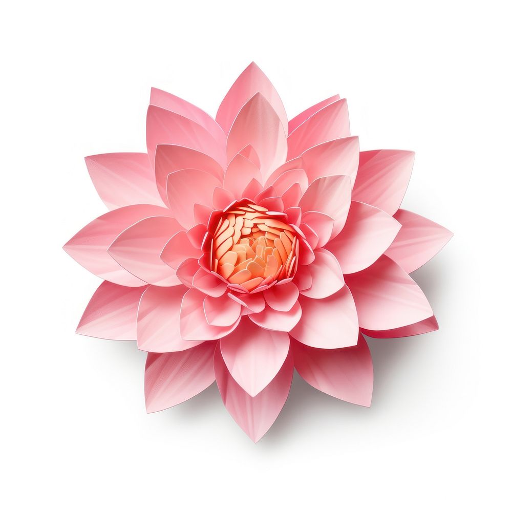 Water lily flower dahlia petal. AI generated Image by rawpixel.