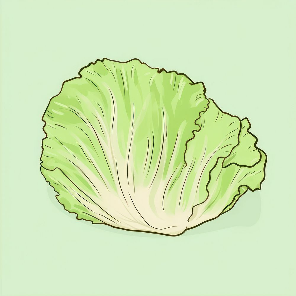 Lettuce vegetable cabbage plant. AI generated Image by rawpixel.