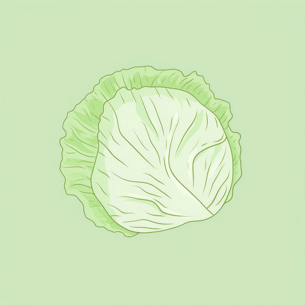 Cabbage vegetable food freshness. AI generated Image by rawpixel.