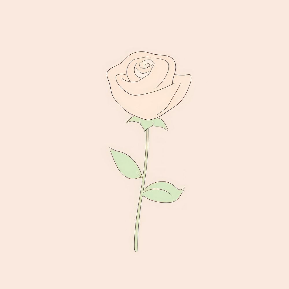 Rose cartoon drawing flower. AI generated Image by rawpixel.