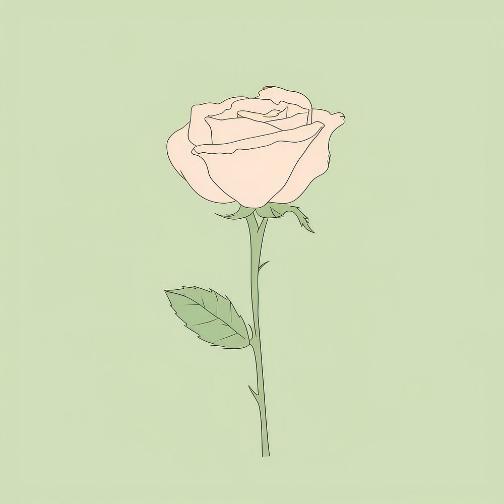 Rose drawing flower sketch. AI generated Image by rawpixel.