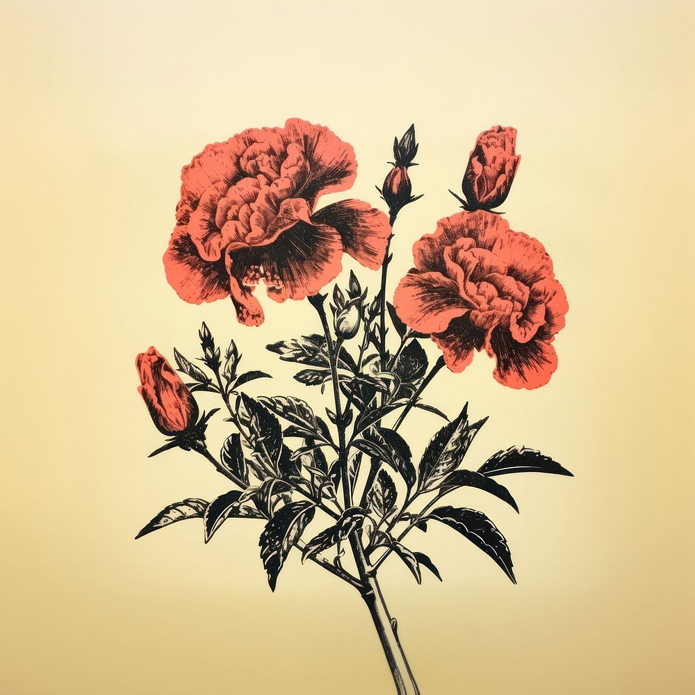 A spring flowers plant art red. AI generated Image by rawpixel.