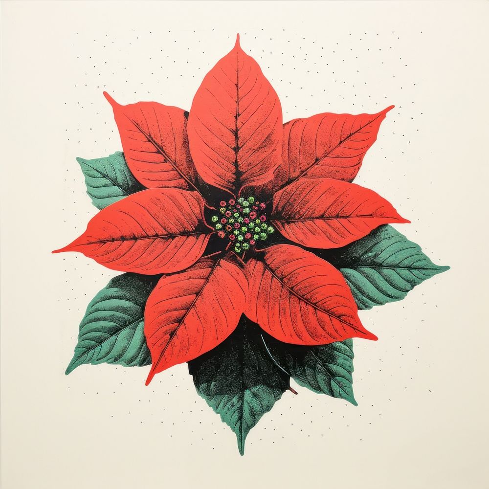 Poinsettia graphics pattern flower. AI generated Image by rawpixel.