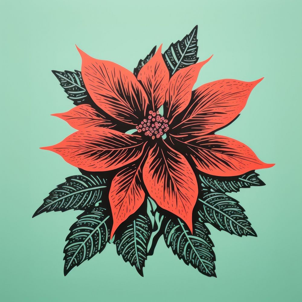 Poinsettia graphics pattern flower. AI generated Image by rawpixel.
