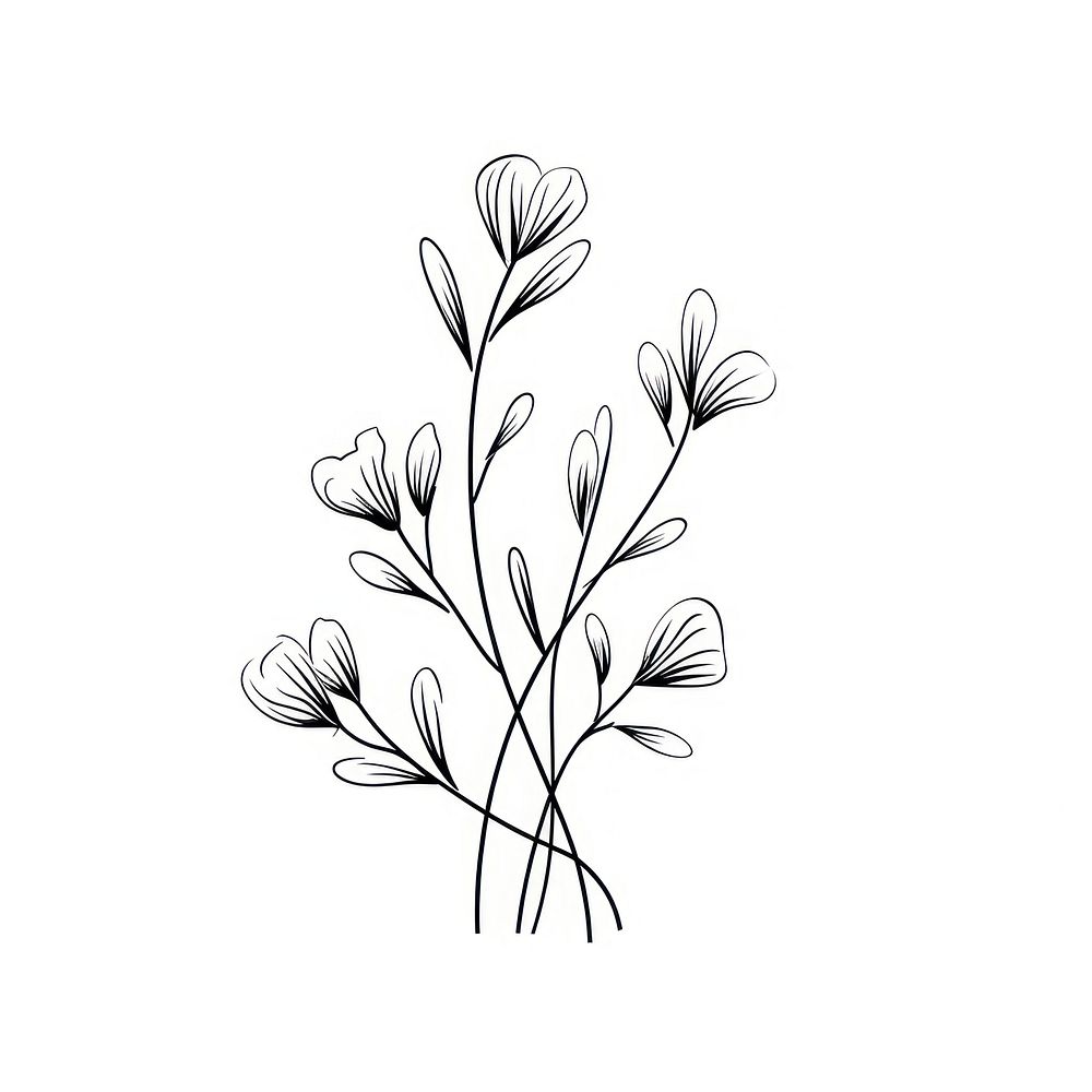 Floral plant pattern drawing. 