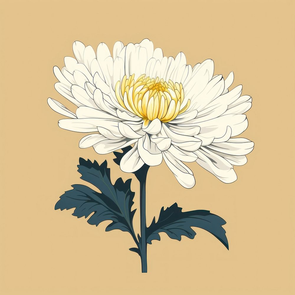 Chrysanthemum chrysanths flower plant. AI generated Image by rawpixel.