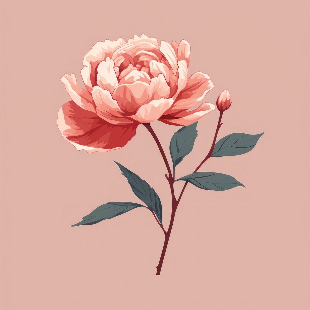 Peony flower plant rose. AI generated Image by rawpixel.