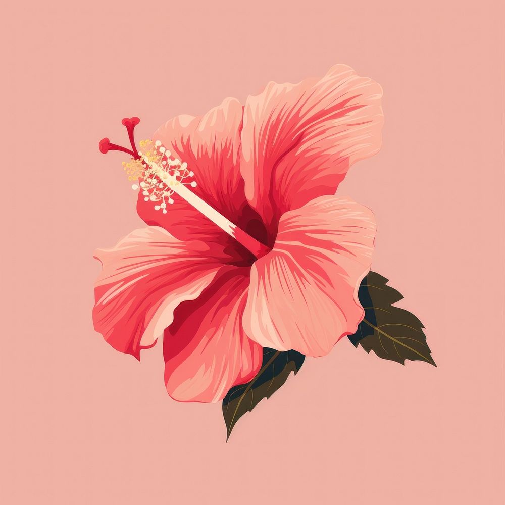 Hibiscus flower plant inflorescence freshness. AI generated Image by rawpixel.