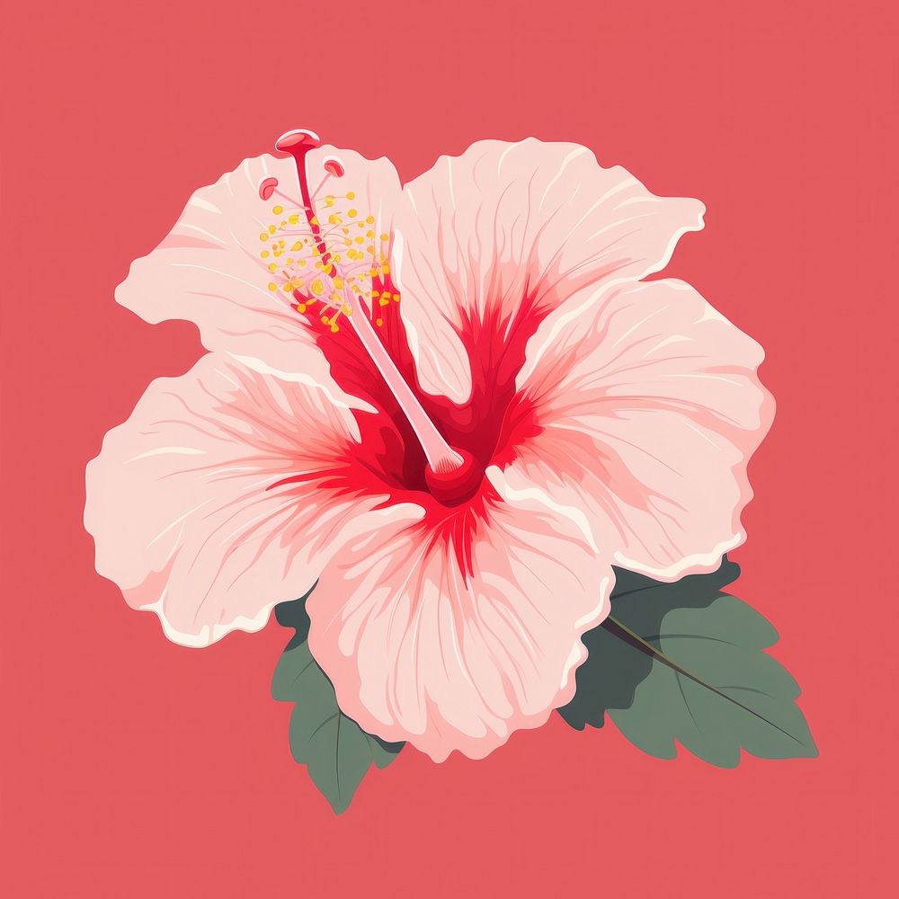 Hibiscus flower blossom petal plant. AI generated Image by rawpixel.