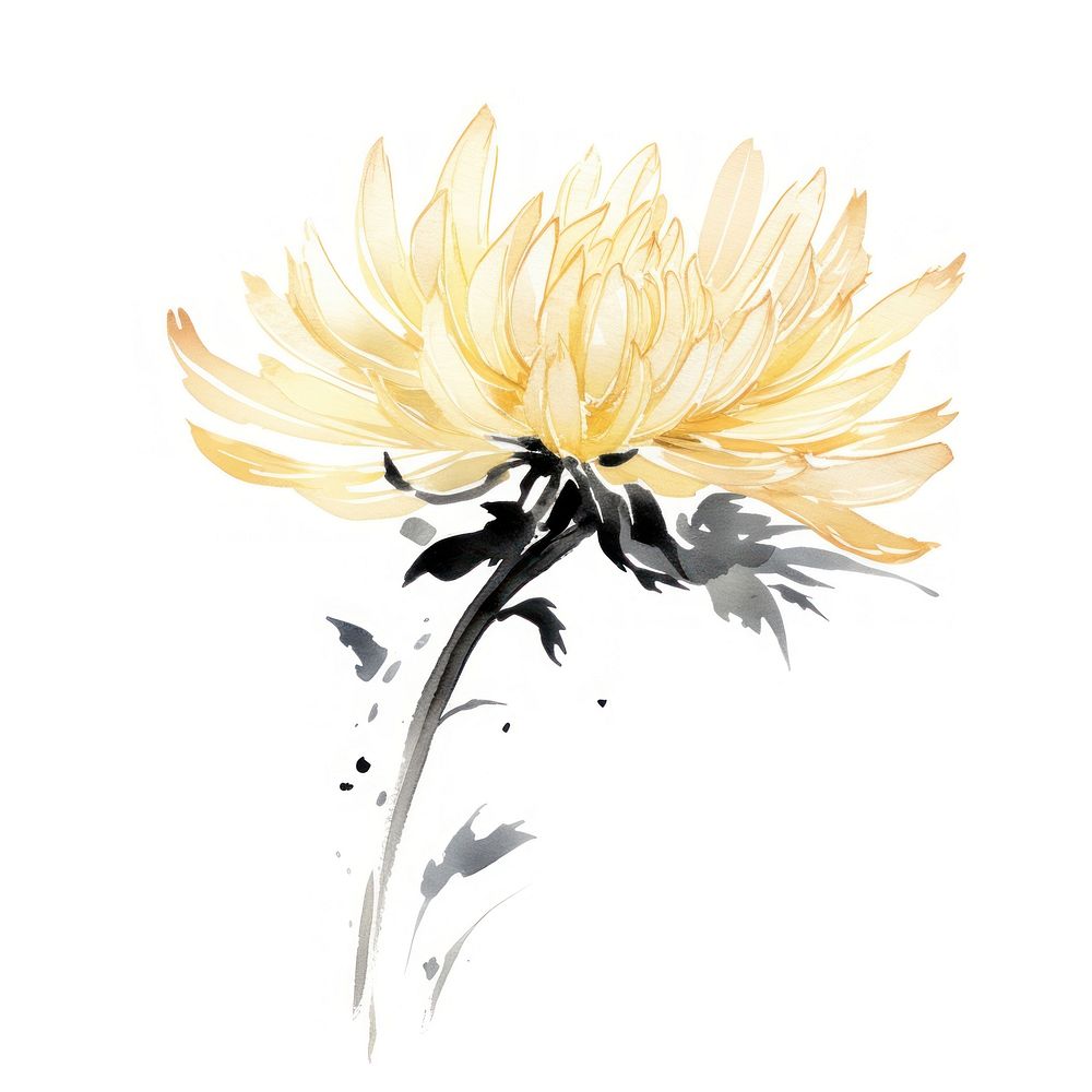 Pale yellow Chrysanthemum flower petal plant ink. AI generated Image by rawpixel.