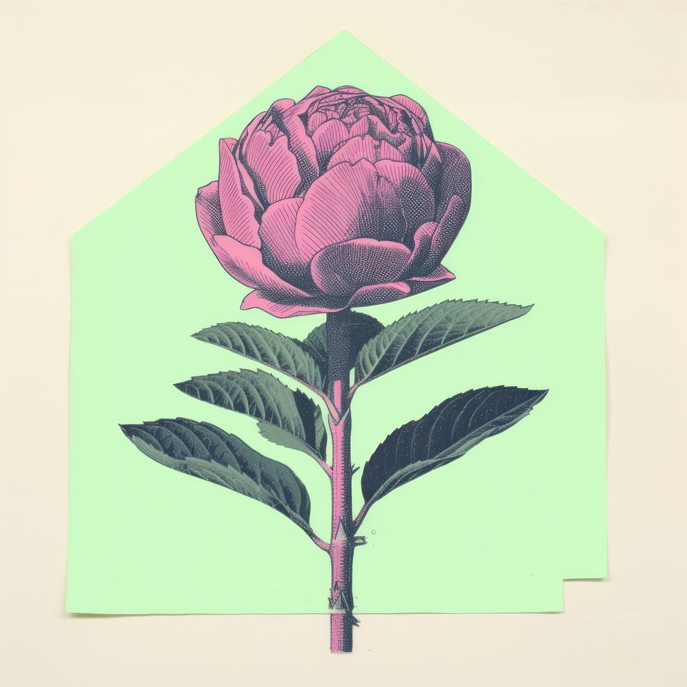 Botanical flower artichoke plant rose. AI generated Image by rawpixel.
