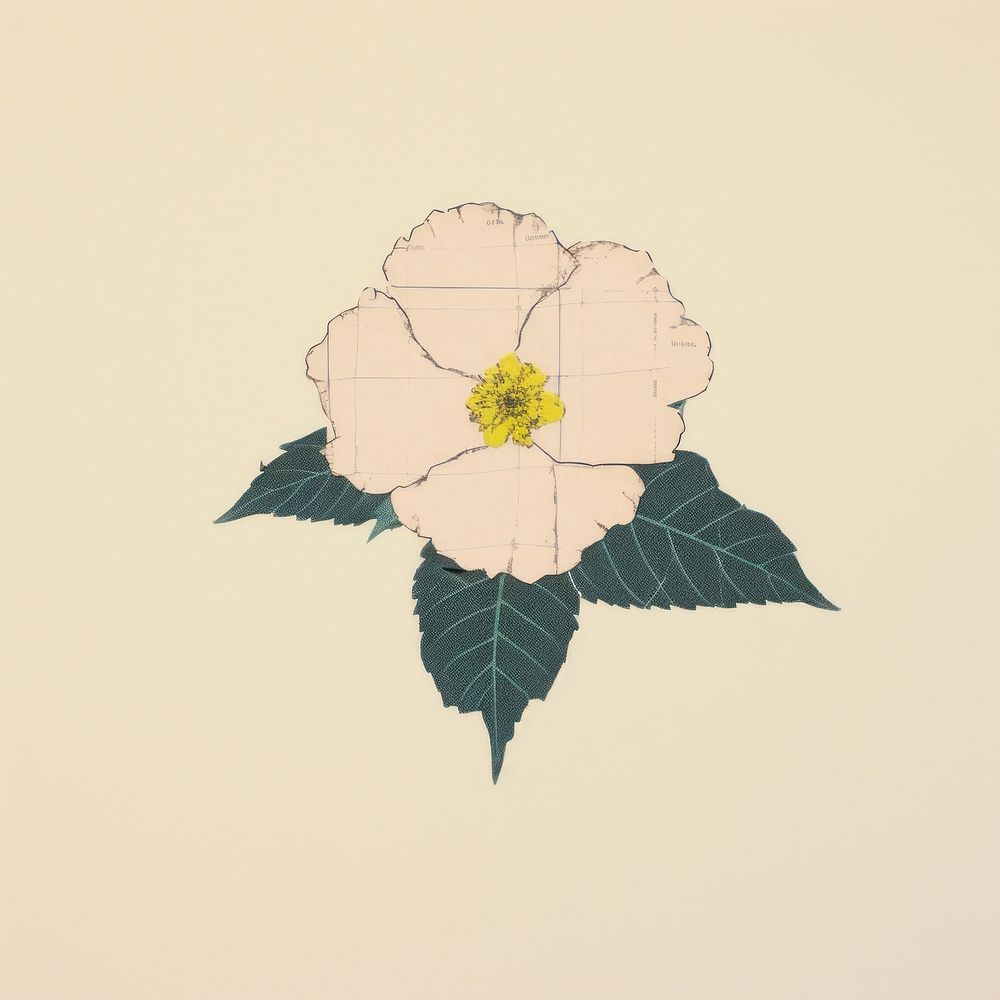 Botanical flower pattern drawing nature. AI generated Image by rawpixel.