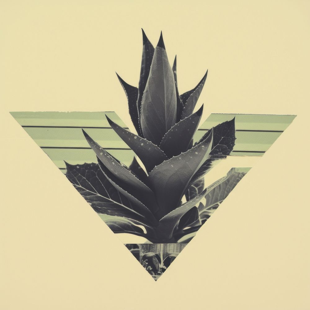 Botanical plant leaf pineapple. AI generated Image by rawpixel.