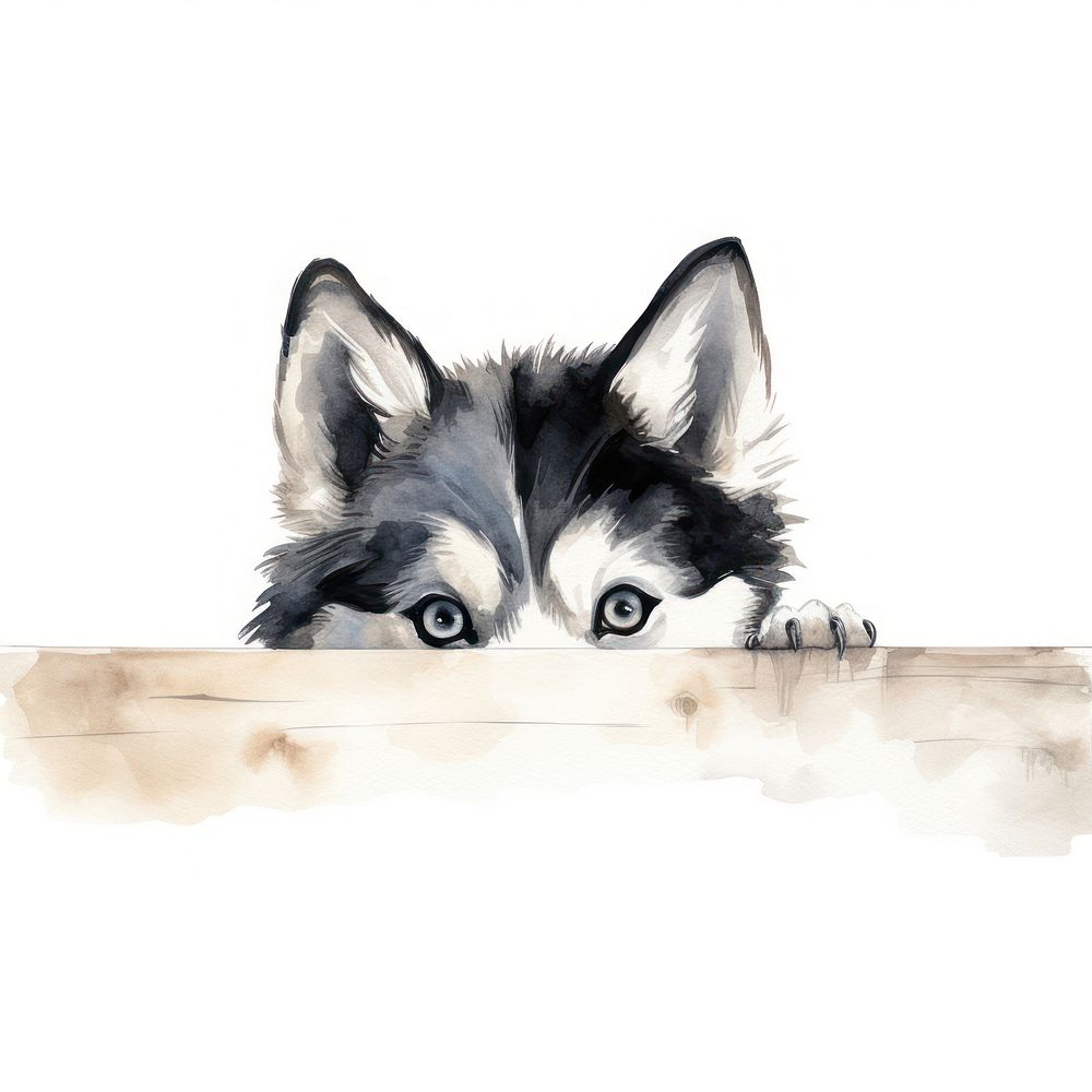 Siberian Husky drawing peeking mammal. AI generated Image by rawpixel.