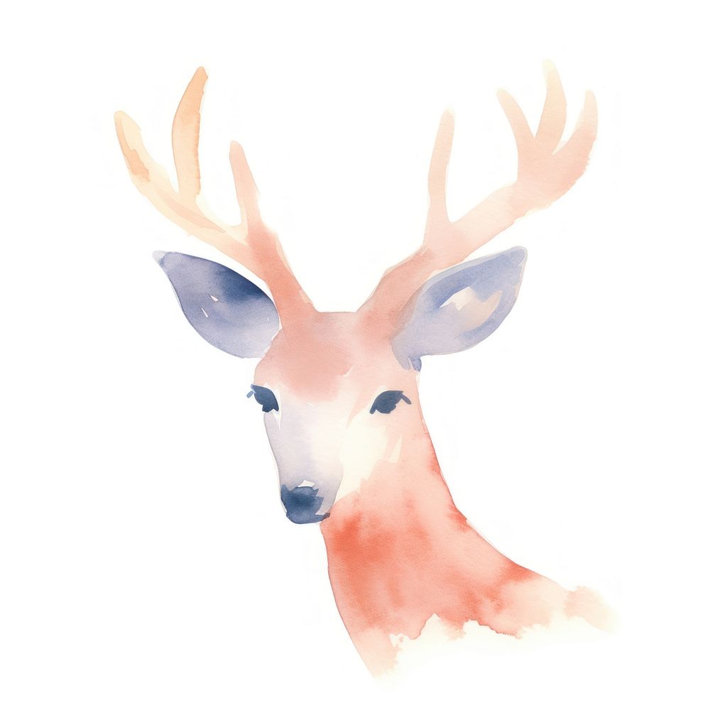Deer wildlife antler animal. AI generated Image by rawpixel.