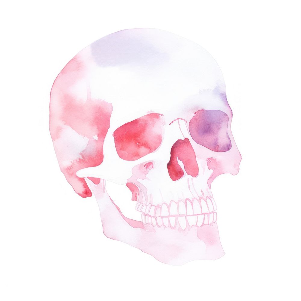 Skull white background creativity science. AI generated Image by rawpixel.