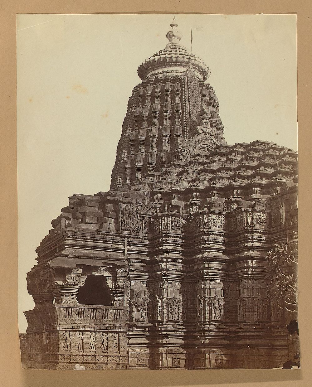 India (c. 1860 - c. 1865) by James John Waterhouse