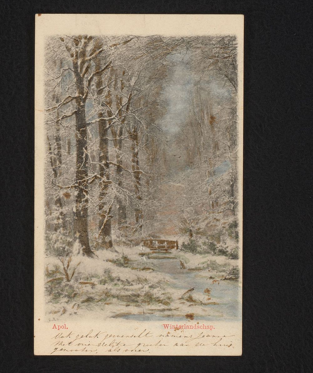 Bosgezicht in de winter (1880 - 1920) by anonymous