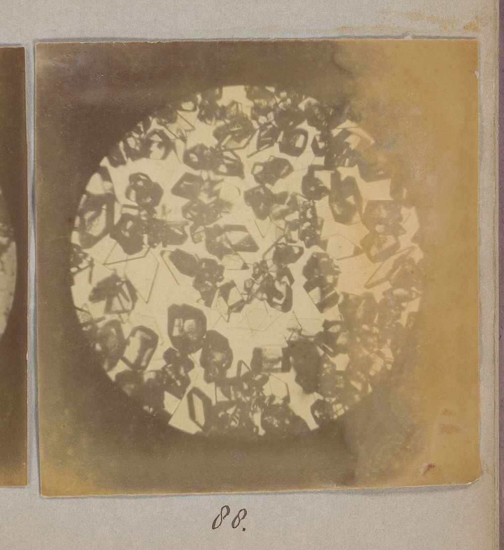Microscopische opname van kristallen, zestig keer vergroot (1887 - 1888) by Marinus Pieter Filbri