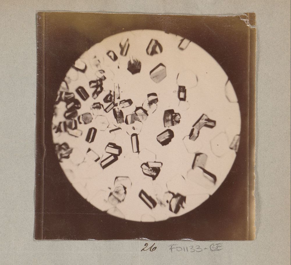 Microscopische opname van boorzuurkristallen, 35 keer vergroot (1887 - 1888) by Marinus Pieter Filbri