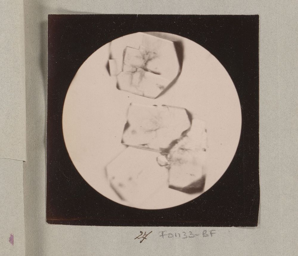 Microscopische opname van boraxkristallen, 35 keer vergroot (1887 - 1888) by Marinus Pieter Filbri
