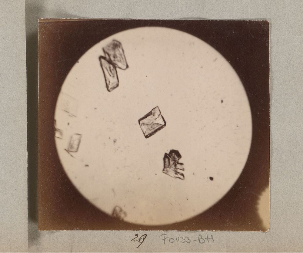 Microscopische opname van kristallen, zestig keer vergroot (1887 - 1888) by Marinus Pieter Filbri