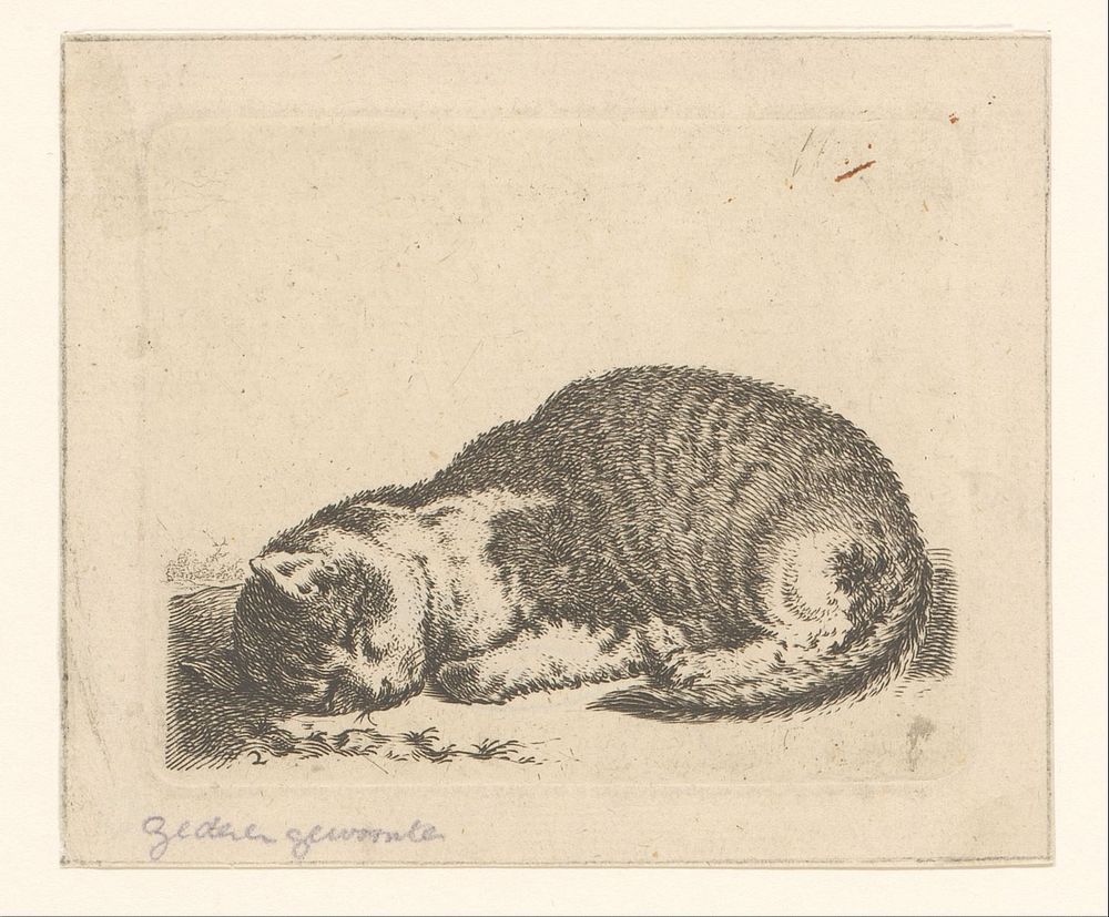 Slapende poes (1617 - 1681) by Cornelis Saftleven and Hendrik de Leth