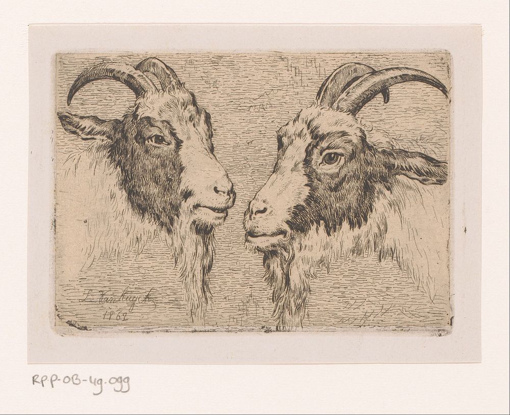 Twee geitenkoppen (1862) by Jean Louis Van Kuyck