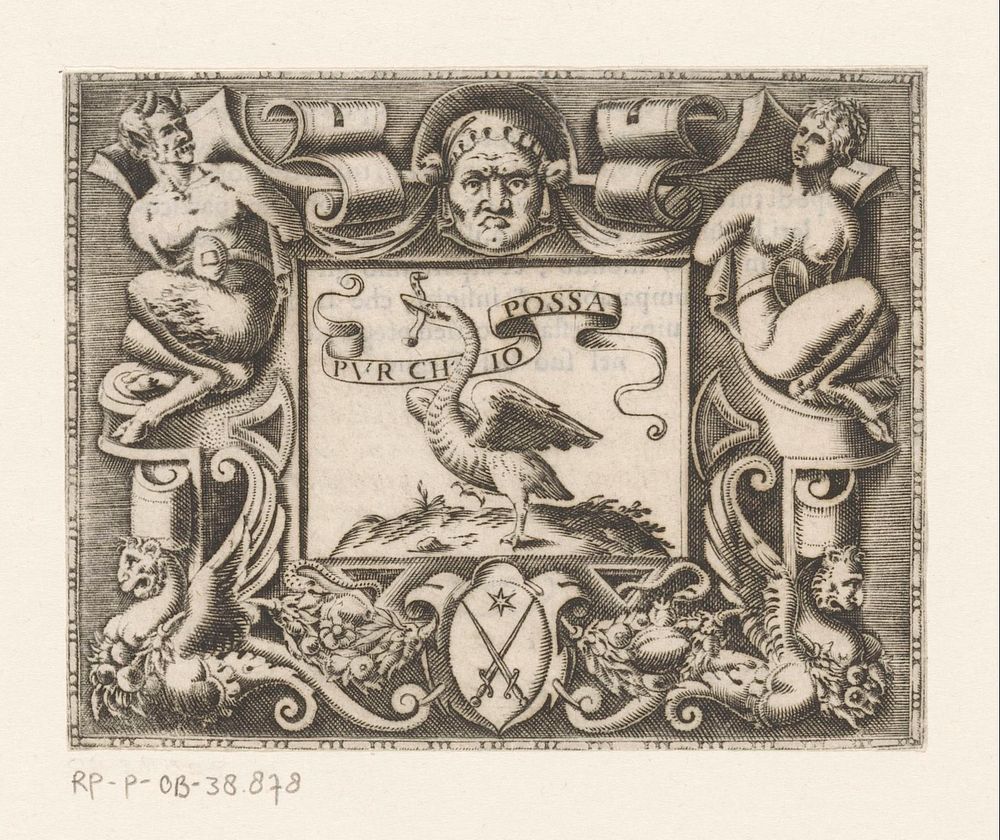 Cartouche met embleem en wapenschild van Brunoro Zempeschi (1584) by anonymous and Francesco de Franceschi