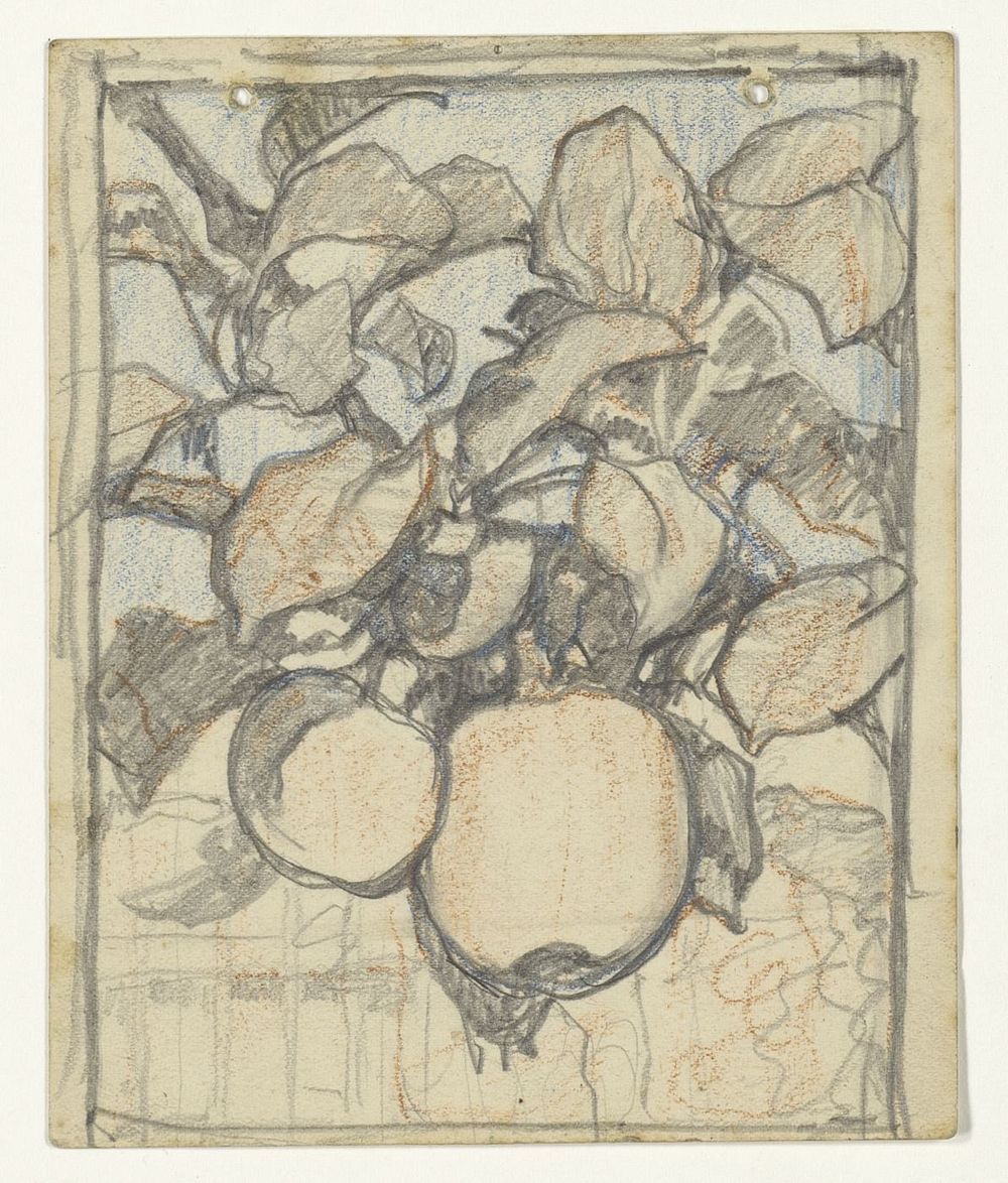 Keizer Alexander-appels (1920 - 1924) by Jac van Looij