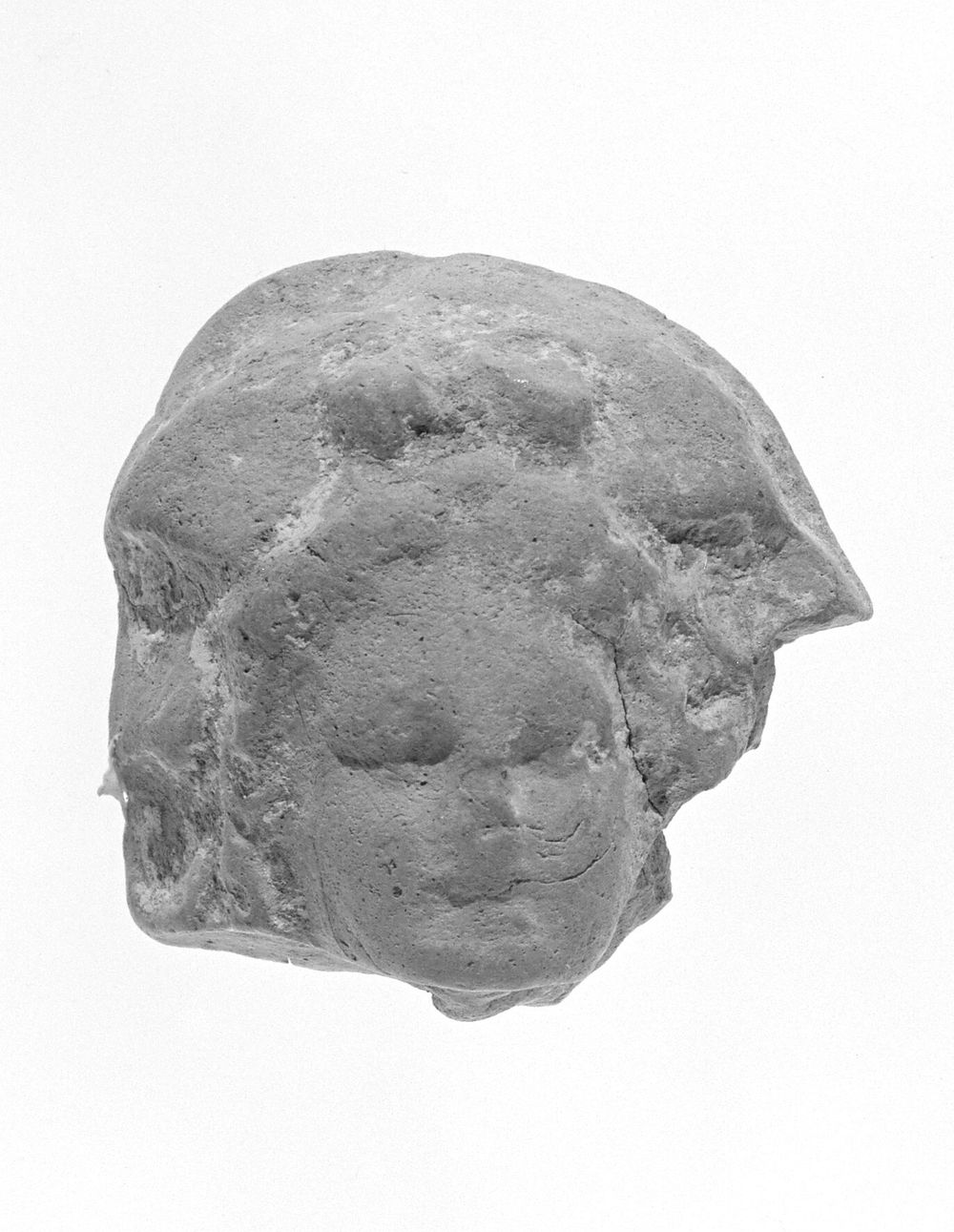 Female Head Fragment