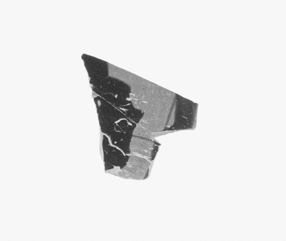 Attic Black-Figure Oinochoe Fragment