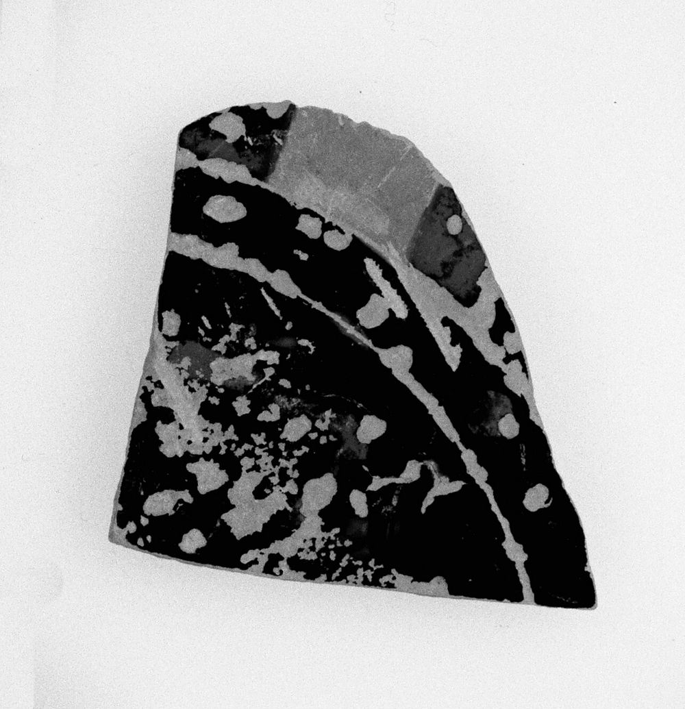 Attic Panathenaic Amphora Fragment