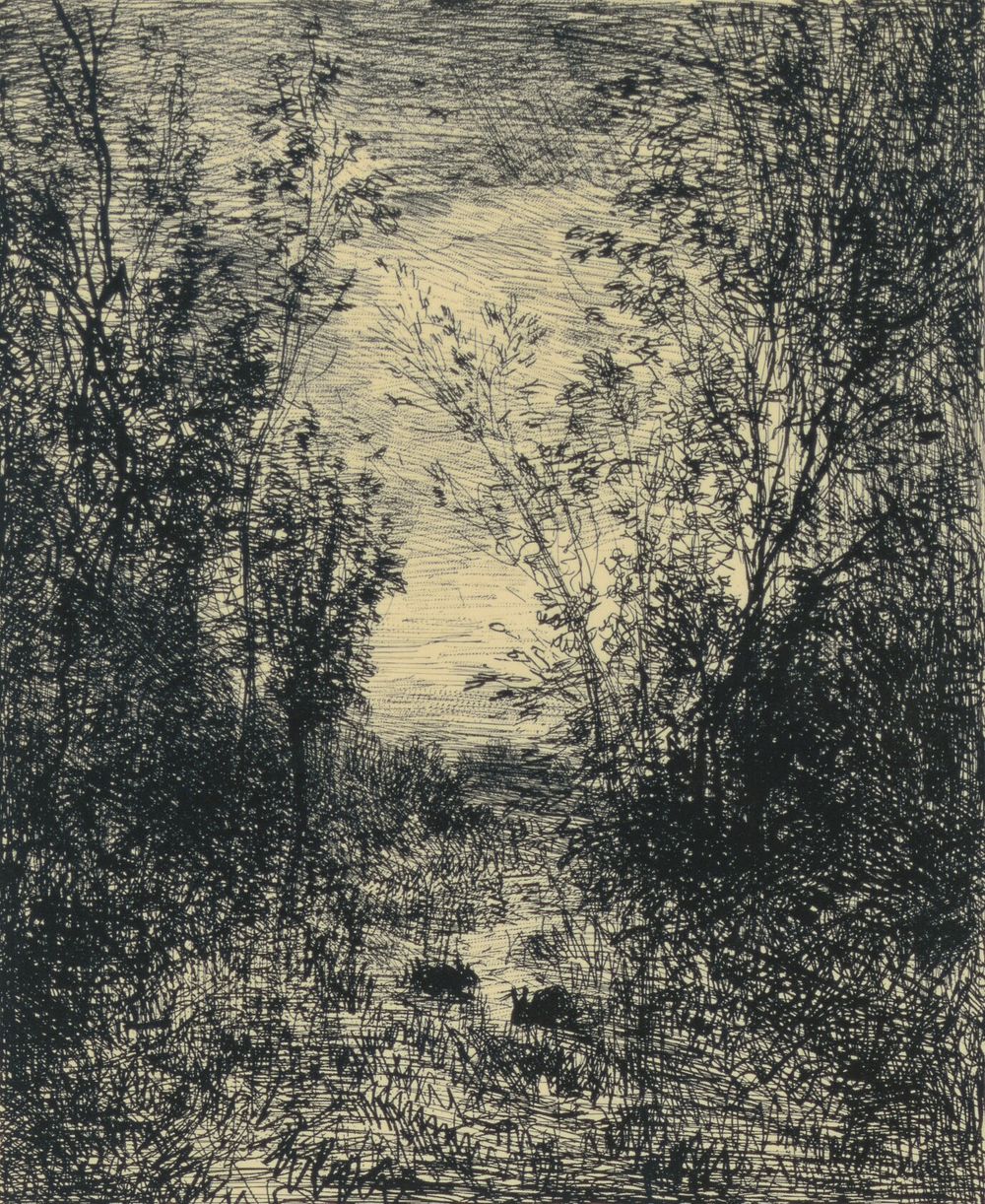 Le Ruisseau Dans La Clairière by Charles François Daubigny