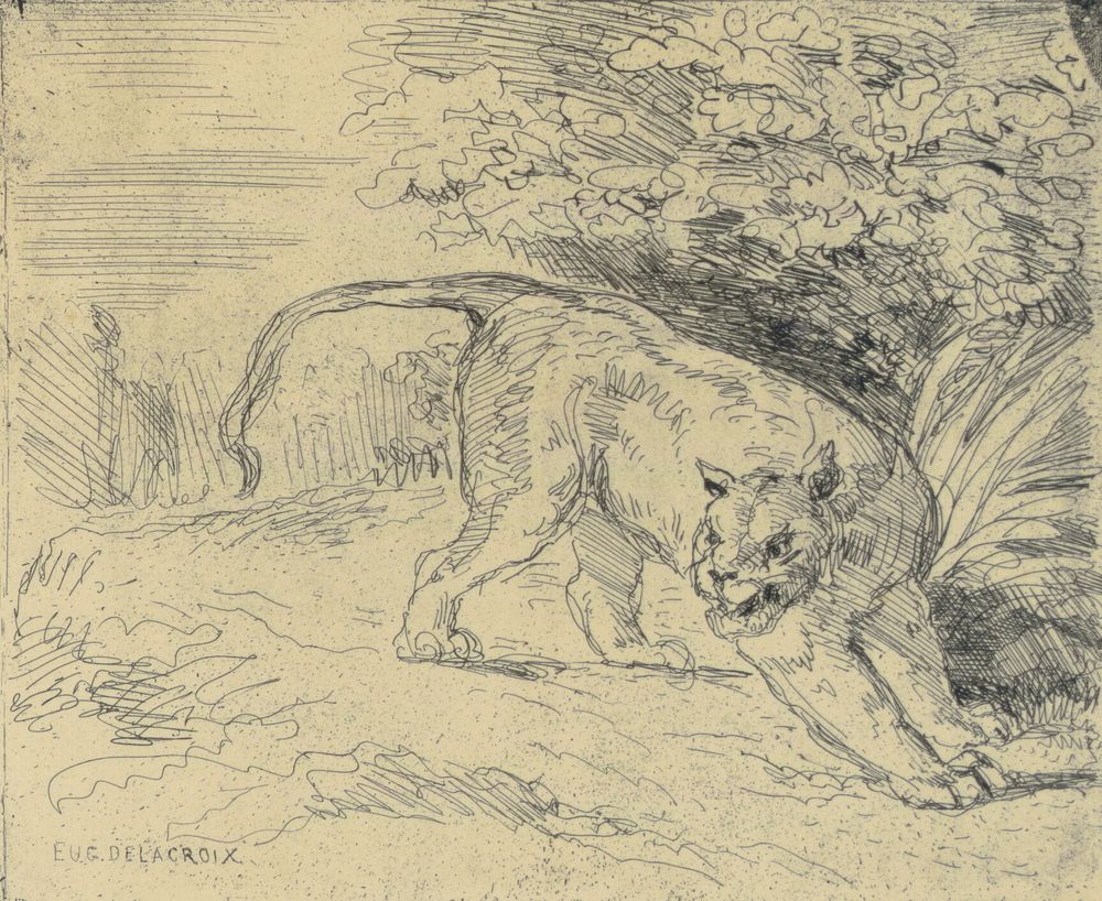 Tigre en Arrêt by Eugène Delacroix