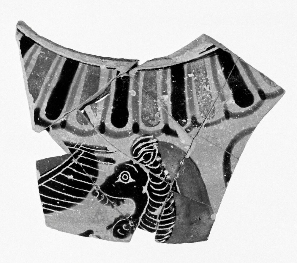 Attic Black-Figure Hydria Fragment (comprised of 8 Joined Fragments)