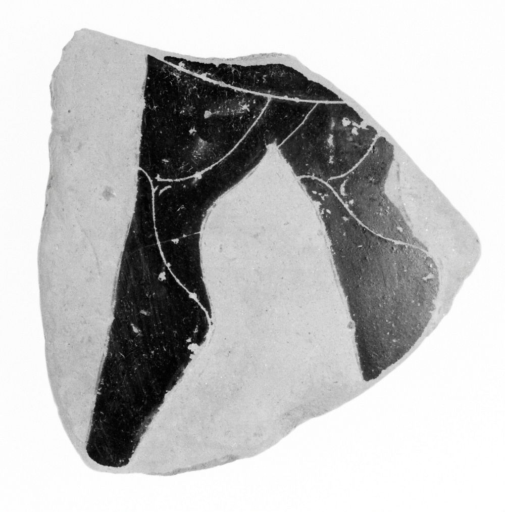 Attic Black-Figure Amphora Fragment