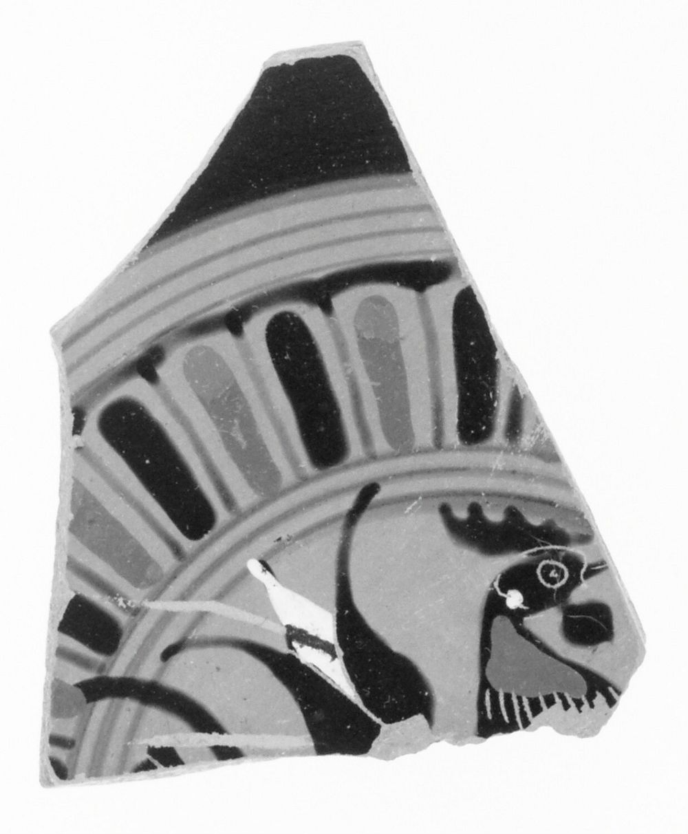 Attic Black-Figure Siana Cup Fragment