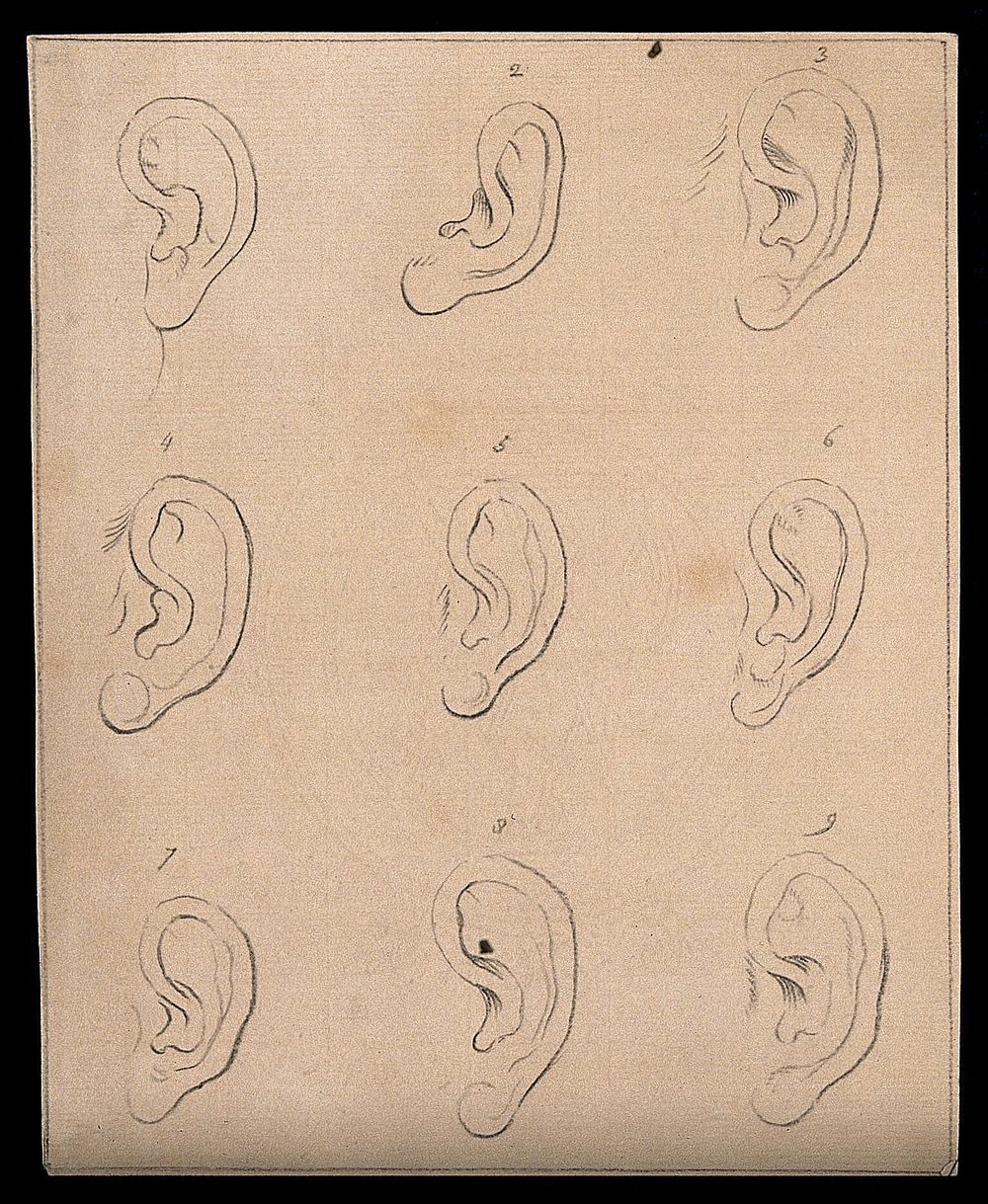 Nine ears. Drawing, c. 1793.