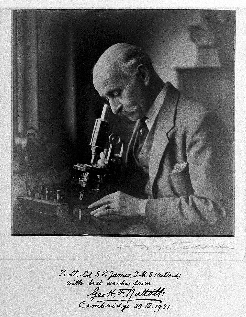 George Henry Falkiner Nuttall. Photograph by T. Whitlock, 1931.