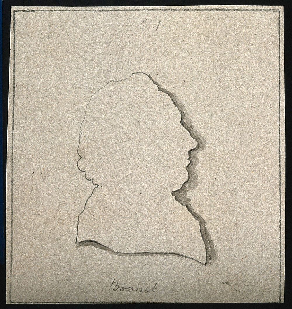Charles Bonnet. Pencil and wash, silhouette.
