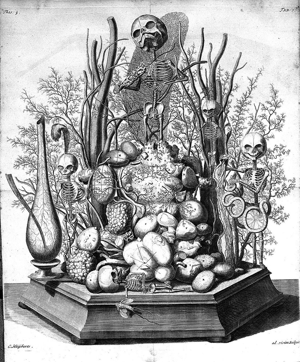 Thesaurus anatomicus primus [-decimus] ... Het eerste [-tiende] anatomisch cabinet / [Frederik Ruysch].