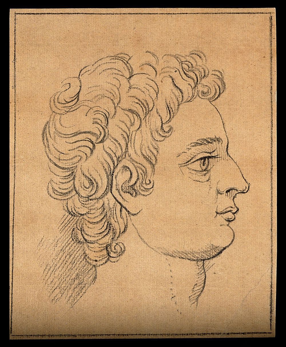 Right profile of a boy exemplifying ancient Greek male beauty. Drawing, c. 1791.