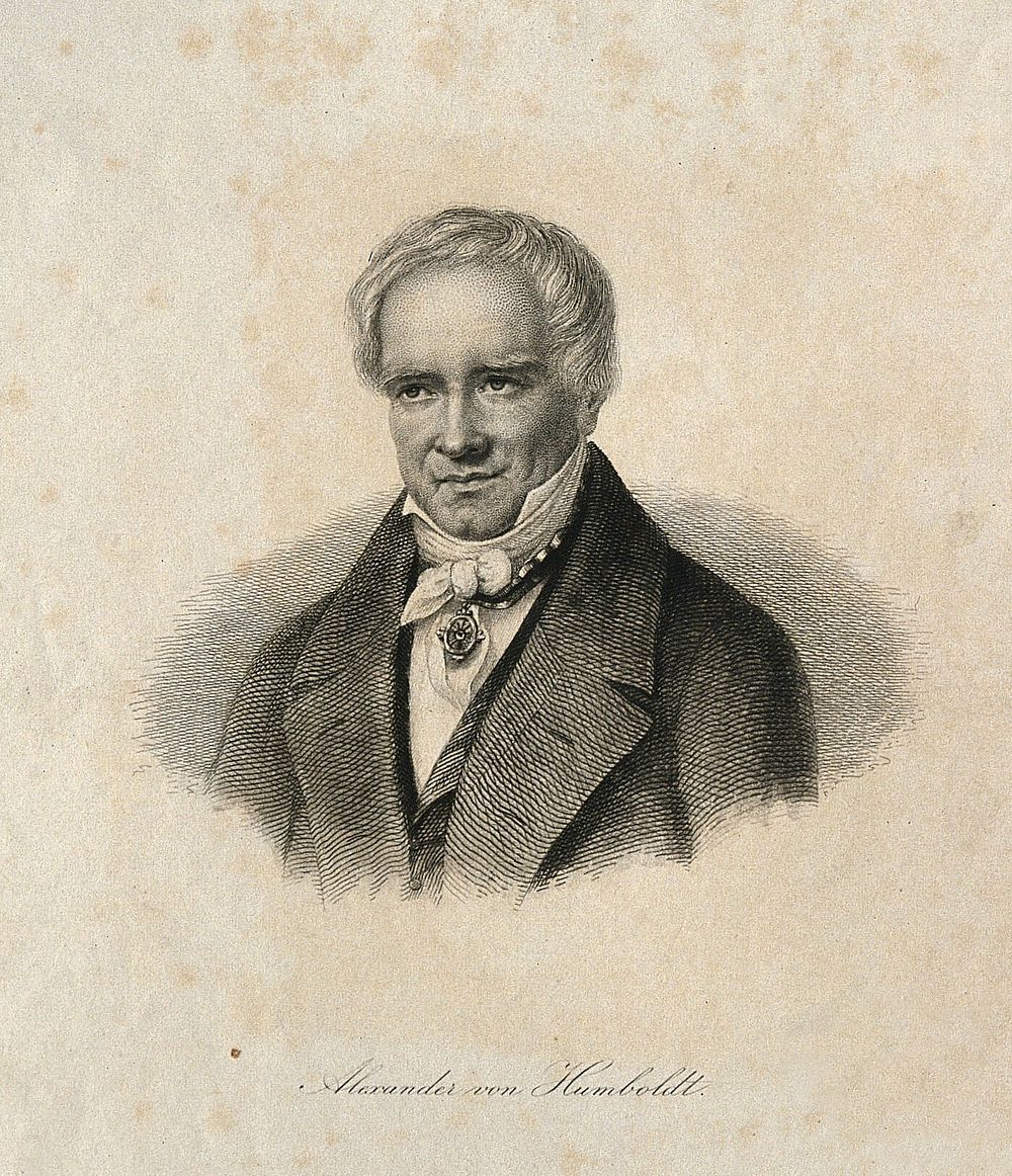 Friedrich Heinrich Alexander von Humboldt. Line engraving.