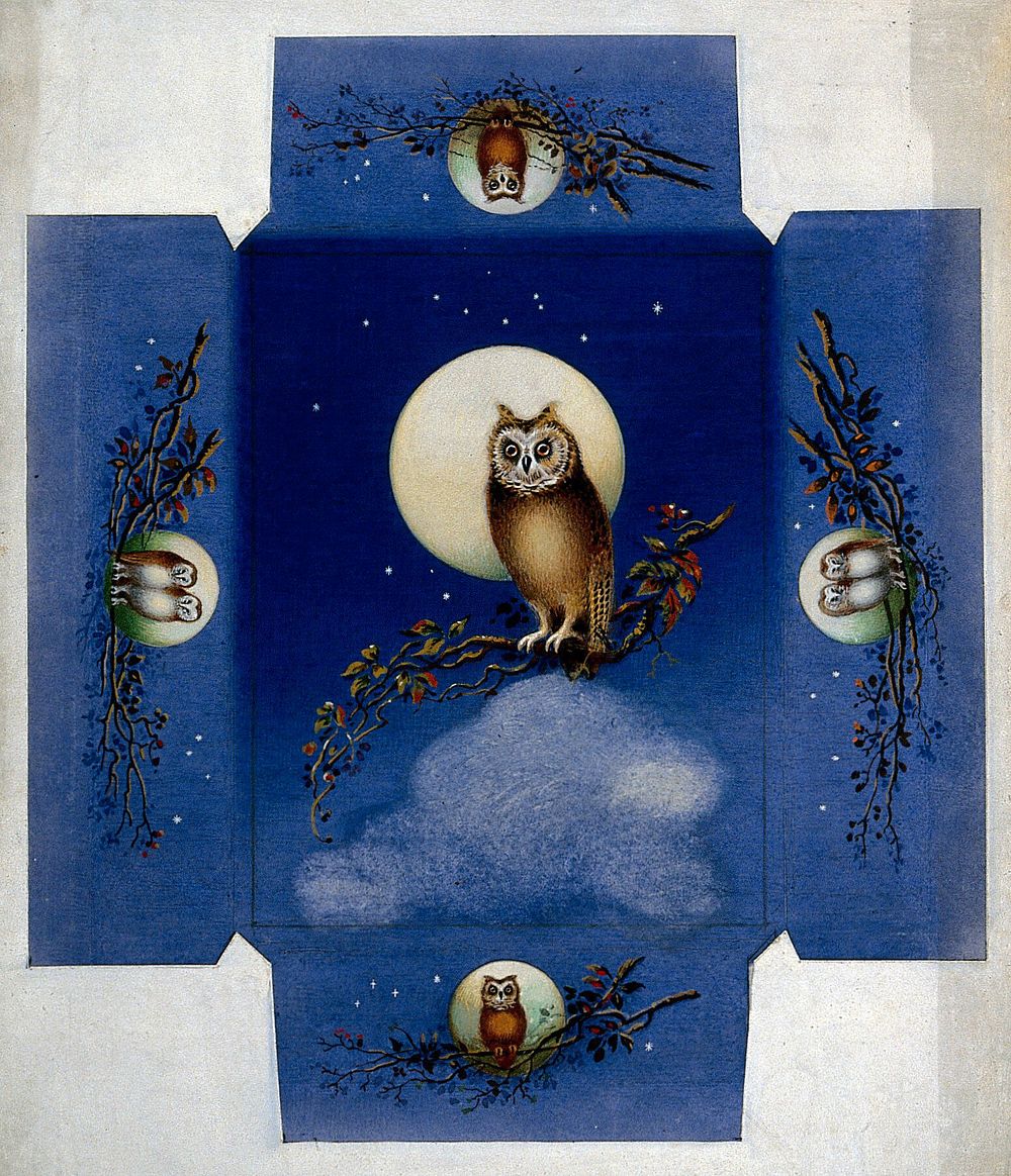 Design for a box with owls perched on branches against a full moon. Gouache drawing.