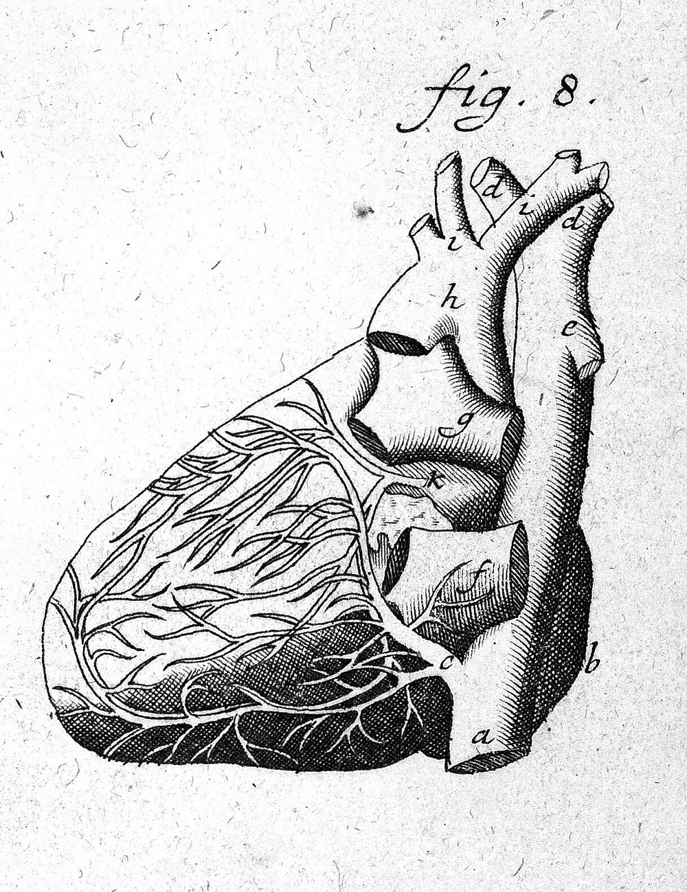 Theatrum anatomicum ... / Adjectae sunt ... B. Eustachii Tabulae anatomicae, ab illustrissimo J.M. Lancisio ... explanatae.